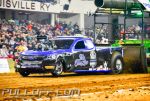 DSC_2552.jpg